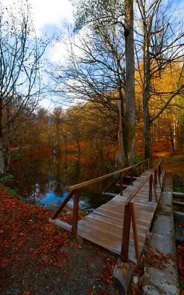 Igneada Longoz ormanları Milli Parkı, Türkiye