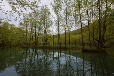 Igneada Longoz ormanları Milli Parkı, Türkiye