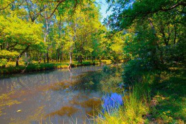 Igneada Longoz ormanları Milli Parkı, Türkiye