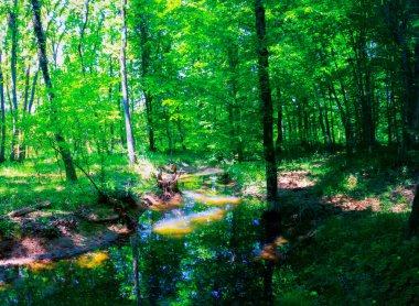 Igneada Longoz ormanları Milli Parkı, Türkiye