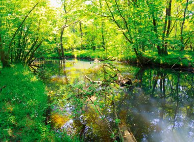 Igneada Longoz ormanları Milli Parkı, Türkiye