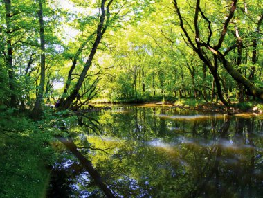 Igneada Longoz ormanları Milli Parkı, Türkiye