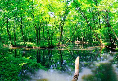 Igneada Longoz ormanları Milli Parkı, Türkiye