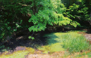Igneada Longoz ormanları Milli Parkı, Türkiye