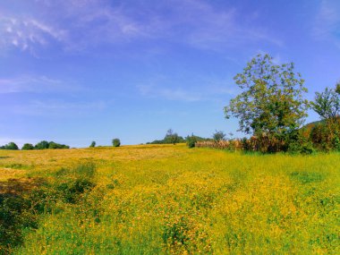 Igneada Longoz ormanları Milli Parkı, Türkiye