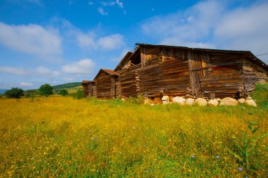 Kastamonu 'daki Kure Dağları Milli Parkı