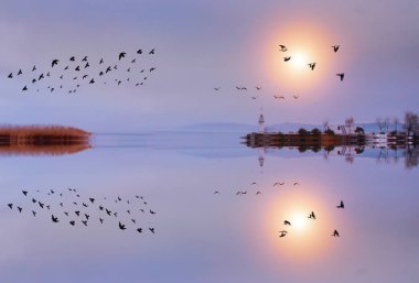 Iznik Gölü ve çevresindeki doğal yaşam