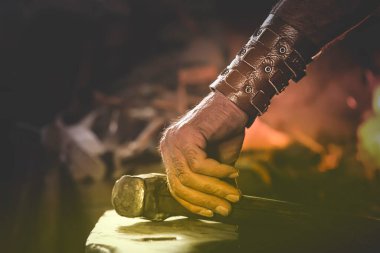 Doğada çeşitli makro fotoğraflar