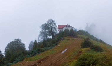 Kackar Dağları Ulusal Parkı, Kocdz Platosu ve Göl Bölgesi