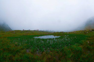 Kackar Dağları Ulusal Parkı, Kocdz Platosu ve Göl Bölgesi