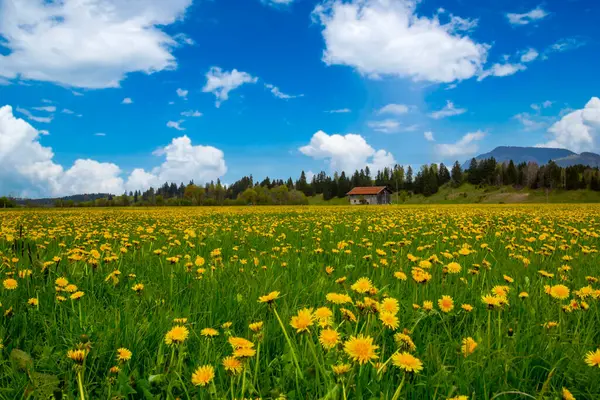 Hegratsrieder Kilisesi Bir sonbahar sabahı göle bakın, Ostallgu, Bavyera, Almanya