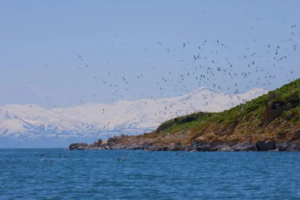 stock image Carpanak Island is an island located in the northeastern part of Lake Van, in the Citren Village of the city of Van.