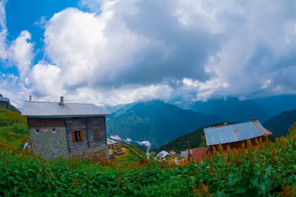 stock image POKUT PLATEAU panoramic view with Kackar Mountains. This plateau located in Camlihemsin district of Rize province. Kackar Mountains region.