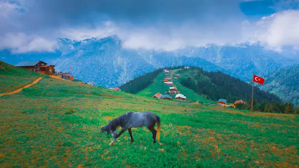 stock image POKUT PLATEAU panoramic view with Kackar Mountains. This plateau located in Camlihemsin district of Rize province. Kackar Mountains region.