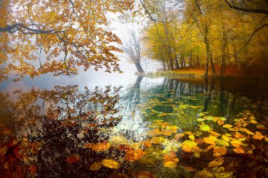 Sonbahar orman manzarası Yedigoller Ulusal Parkı 'ndaki suya yansıyor. Bu da yedi göl anlamına geliyor.