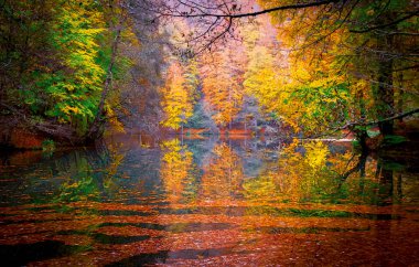 Sonbahar orman manzarası Yedigoller Ulusal Parkı 'ndaki suya yansıyor. Bu da yedi göl anlamına geliyor.