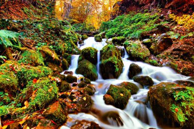 Sonbahar orman manzarası Yedigoller Ulusal Parkı 'ndaki suya yansıyor. Bu da yedi göl anlamına geliyor.