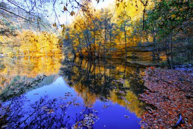Sonbahar orman manzarası Yedigoller Ulusal Parkı 'ndaki suya yansıyor. Bu da yedi göl anlamına geliyor.