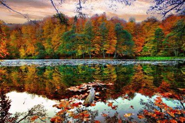 Sonbahar orman manzarası Yedigoller Ulusal Parkı 'ndaki suya yansıyor. Bu da yedi göl anlamına geliyor.