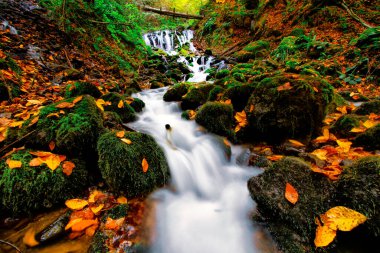 Sonbahar orman manzarası Yedigoller Ulusal Parkı 'ndaki suya yansıyor. Bu da yedi göl anlamına geliyor.
