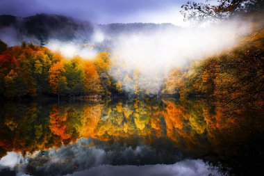 Sonbahar orman manzarası Yedigoller Ulusal Parkı 'ndaki suya yansıyor. Bu da yedi göl anlamına geliyor.