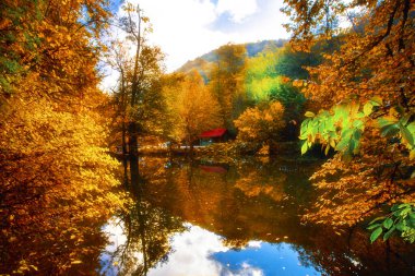 Sonbahar orman manzarası Yedigoller Ulusal Parkı 'ndaki suya yansıyor. Bu da yedi göl anlamına geliyor.