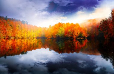 Sonbahar orman manzarası Yedigoller Ulusal Parkı 'ndaki suya yansıyor. Bu da yedi göl anlamına geliyor.