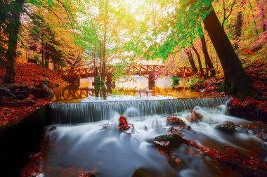 Sonbahar orman manzarası Yedigoller Ulusal Parkı 'ndaki suya yansıyor. Bu da yedi göl anlamına geliyor.