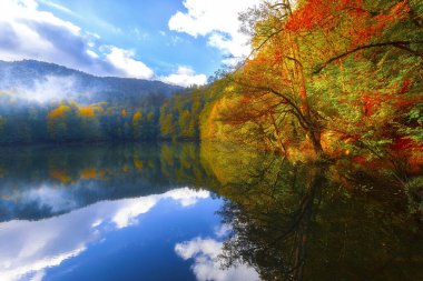 Sonbahar orman manzarası Yedigoller Ulusal Parkı 'ndaki suya yansıyor. Bu da yedi göl anlamına geliyor.
