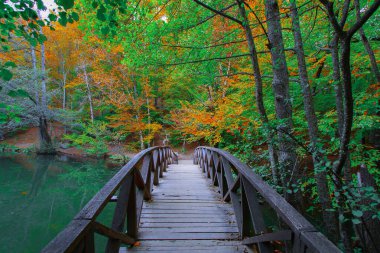Sonbahar orman manzarası Yedigoller Ulusal Parkı 'ndaki suya yansıyor. Bu da yedi göl anlamına geliyor.