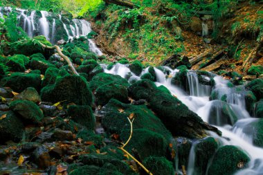 Sonbahar orman manzarası Yedigoller Ulusal Parkı 'ndaki suya yansıyor. Bu da yedi göl anlamına geliyor.