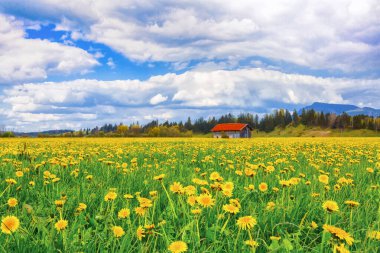 Tuscany, İtalya 'da gün doğumuyla birlikte manzara manzarası