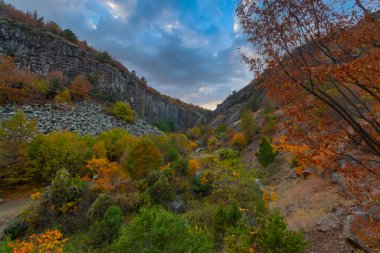 Boyabat Bölgesindeki Basalt Kayalıkları. Sinop, Türkiye. Sinop 'ta bulunan volkanik kaya çıkıntıları sütun bazalt formunda. Bazalt Kayaları Doğa Anıtı