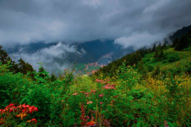 Trabzon 'un Uzungol Dağı köyü. (Uzun Göl)