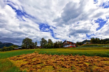 Savsat Türkiye 'de sonbahar renkleri