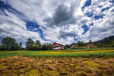 Savsat Türkiye 'de sonbahar renkleri