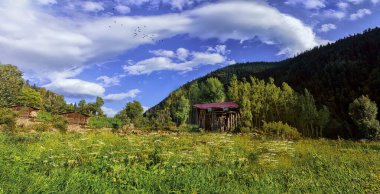 Savsat Türkiye 'de sonbahar renkleri