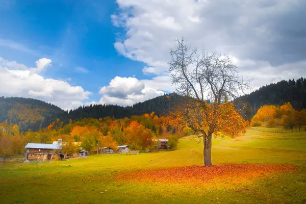 stock image Autumn colors in Savsat Town of Turkey