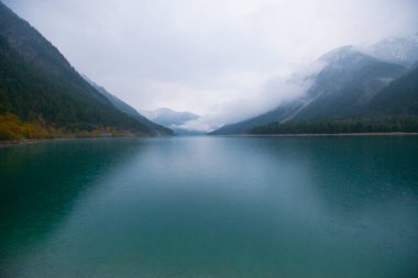 Dikilmiş göl manzarası Avusturya