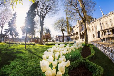 İstanbul 'daki Mavi Cami ya da Sultan Ahmet Camii