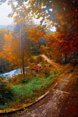 The stone bridges of the Kackar Mountains are structures that can survive for many years. clipart