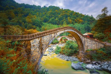 The stone bridges of the Kackar Mountains are structures that can survive for many years. clipart