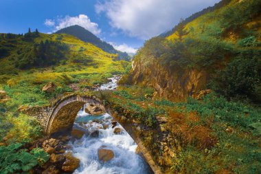 The stone bridges of the Kackar Mountains are structures that can survive for many years. clipart