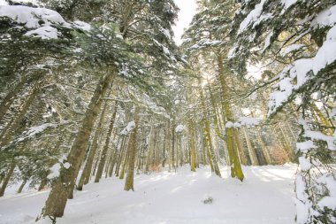 Bolu 'nun 34 kilometre güneybatısında bulunan Abant Dağları' nda bir krater ve mevduat gölüdür..