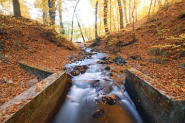 Sonbahar sahnesi. Yedi Bolu Gölü Türkiye