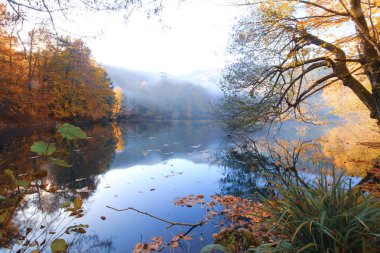 Sonbahar sahnesi. Yedi Bolu Gölü Türkiye