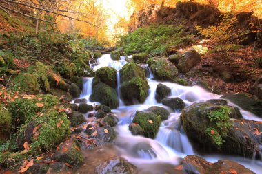 Sonbahar sahnesi. Yedi Bolu Gölü Türkiye