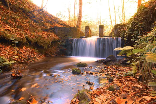 stock image Autumn scene. Seven lakes Bolu Turkey