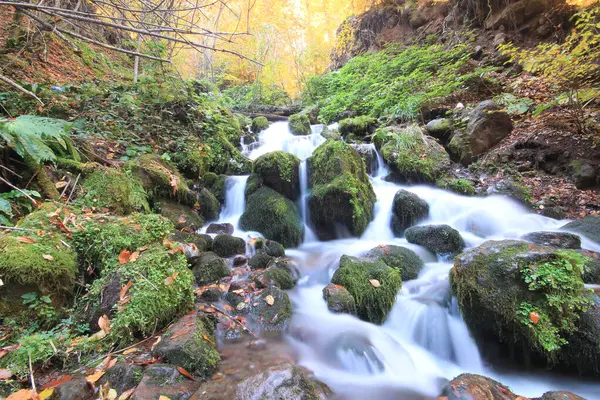 Sonbahar sahnesi. Yedi Bolu Gölü Türkiye