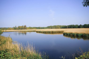 İgneada Longozu, Krklareli 'nin Kykoy bölgesinde yer almaktadır..